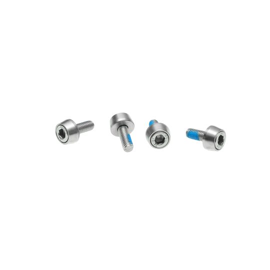 Dropout Bolts (4PCS) 可调节式尾勾固定螺丝