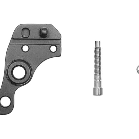 Dropout Driveside Thru-Axle Mech Hanger 桶轴驱动侧可调节式尾勾